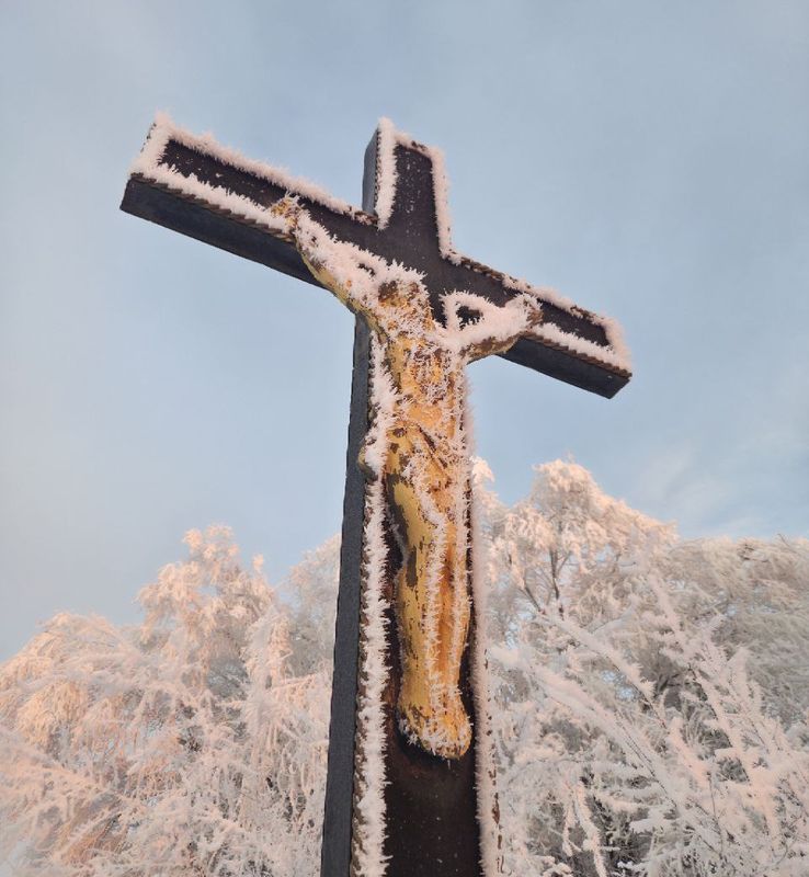 ��� �������� � ���� ���� ������� ����������� ������� ���� �� ������